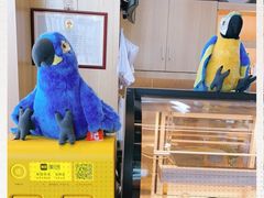 -ZOO COFFEE动物园咖啡(望京锐创店)