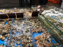 水产区-徐记海鲜(观沙岭|滨江新城店)
