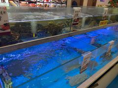 水产区-至尊强仔(正光北街店)