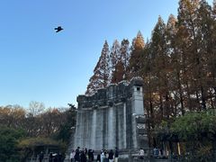 -音乐台