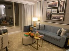 -澳门威尼斯人综合度假区