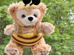 -上海对外经贸大学(古北校区)