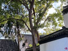-采石矶景区