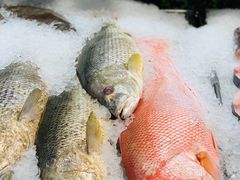 -Cold Storage(sunway putra mall)