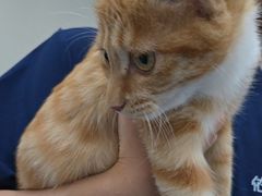 -佑安动物医院·全科·内窥镜中心(幸福巷店)