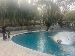 -东明山森林公园