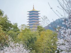 -牛首山文化旅游区