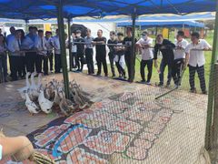 -武汉紫薇都市田园