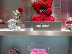 -ROSEONLY诺誓(广州K11店)
