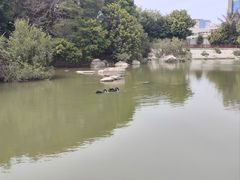 -厦门悦华酒店