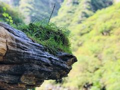 -孤山寨风景区