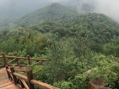 -大岭沟猕猴桃谷风景区