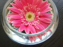 -深圳温德姆至尊酒店