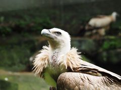 -宁波野生动物园