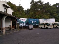 -天目山大树王景区