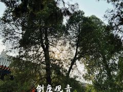 -北京艺术博物馆(万寿寺)
