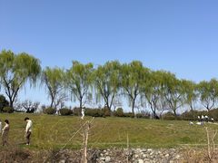 -洨河生态公园