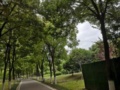-堤角公园