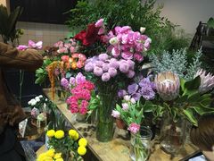 -植物学家的女儿(北马道巷店)