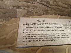 -白鹤梁水下博物馆