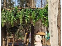 -青龙山国家森林公园