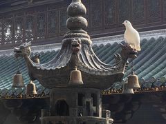 -南华禅寺