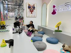 -糯米喵星人·撸猫猫舍咖啡馆(西市场嘉华店)