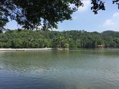 -西樵山风景名胜区-天湖公园