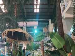 -南宫温泉水世界