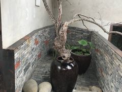 -几荷·恰似故人来(秀水广场店)