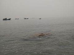 -三姐妹平价海鲜