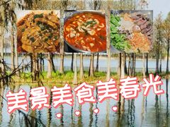 -贡湖湾湿地公园