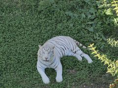 -石家庄市动物园