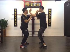 -温鉴良实用咏春拳