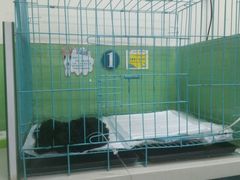 -瑞派宠物医院·24小时骨科·心脏·核磁(哈尔滨南岗店)