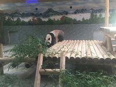 -西安秦岭野生动物园