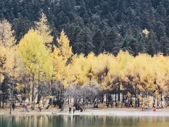 景点-毕棚沟景区