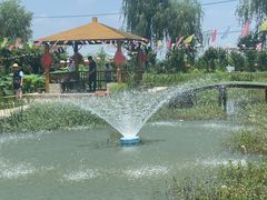 -同銮特种养殖场·龙虾垂钓