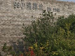 -秦始皇帝陵博物院-丽山园