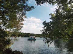 -上海共青森林公园