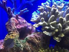 -上海海洋水族馆