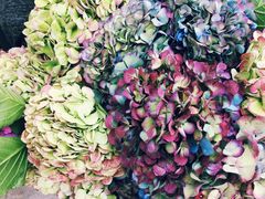 -杭州街角花屋花店(闻堰店)