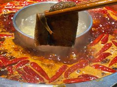 毛肚-大龙火锅(老店)