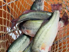 -太二酸菜鱼(厦门宝龙一城店)