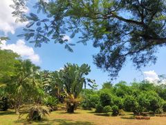 -海南热带野生动植物园