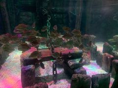 -沈阳海洋探索中心