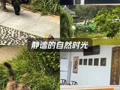 -宣武艺园