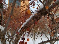 -元大都城垣遗址公园