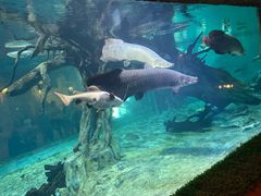 -华夏文旅西安度假区