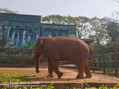 -昆明动物园
